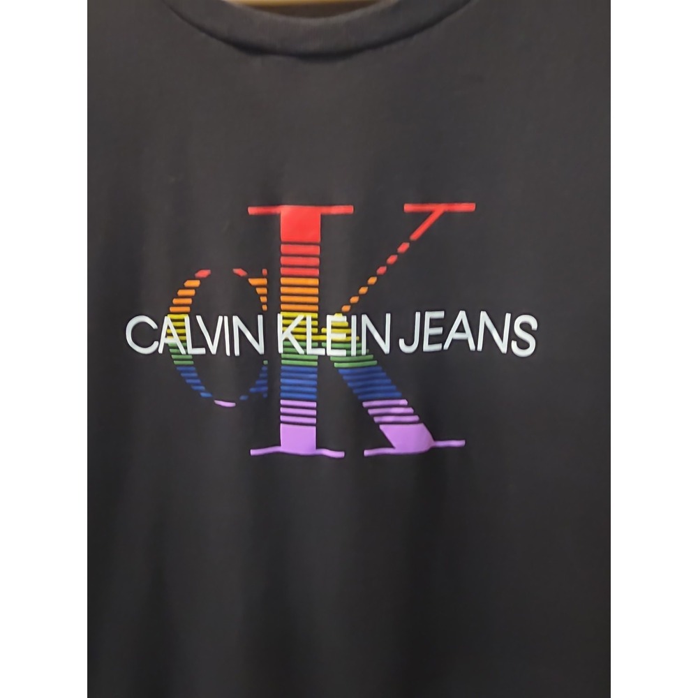 Calvin Klein Jean's Black T-shirt Rainbow Graphic Tee Men's Small